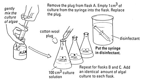 Does the type of liquid used to water plants affect their growth?